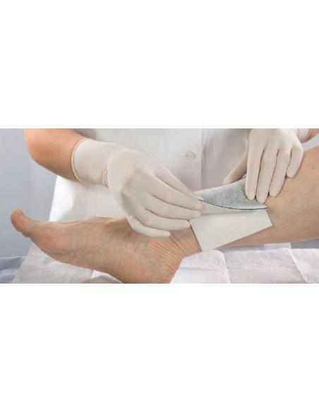 ACTISORB PLUS - APOSITO CARBON ACTIVADO CON PLATA 19 X 10,5 CM (CAJA X 10 UN)